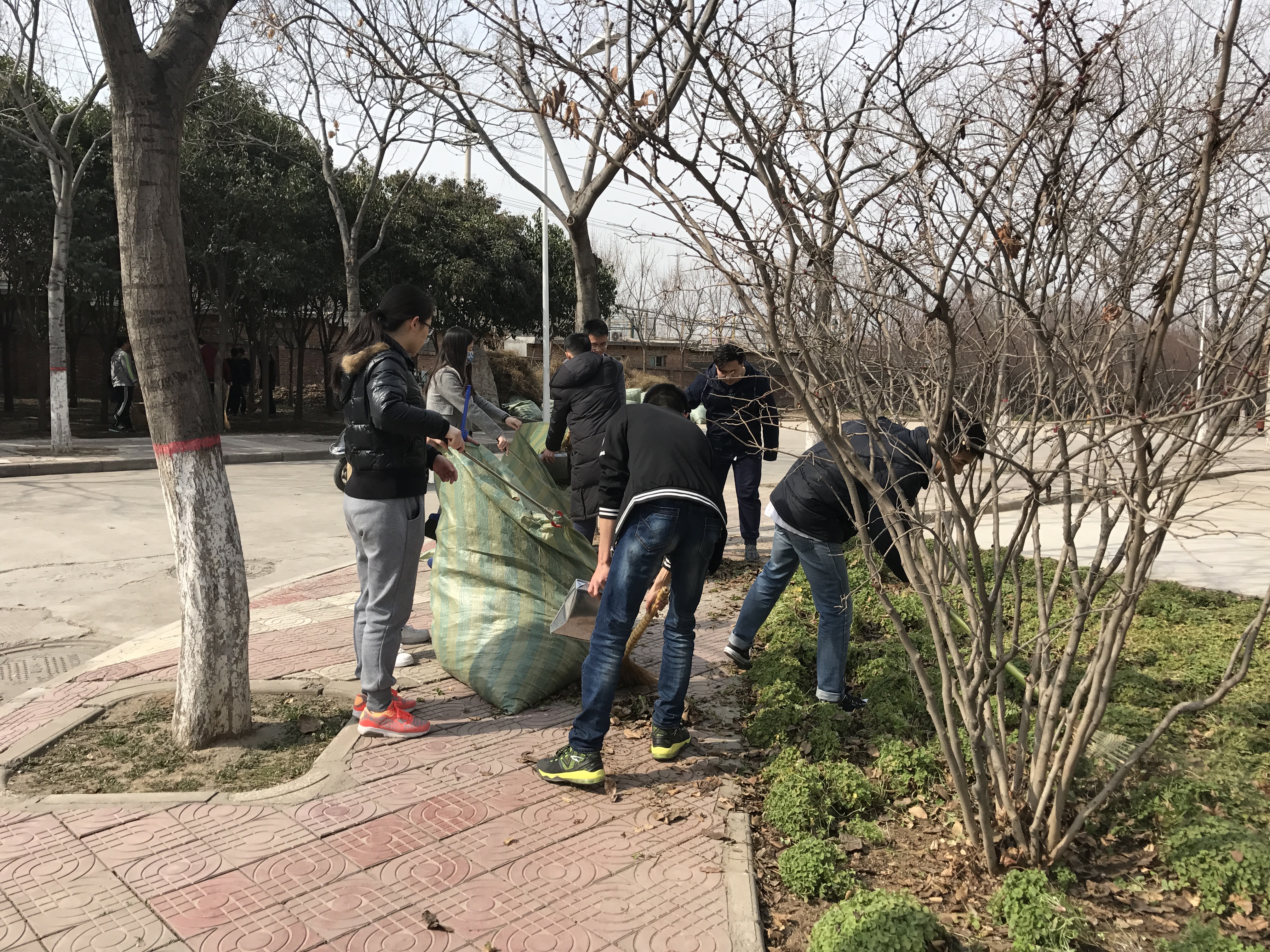 清理,从细微处着手,用耙子清扫花坛,绿化带中的落叶,用垃圾钳捡拾果皮